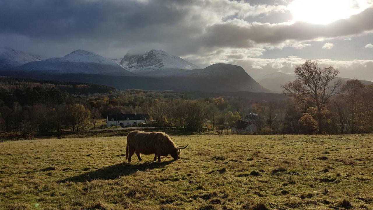 Hawthorn Lodge Fort William Dış mekan fotoğraf